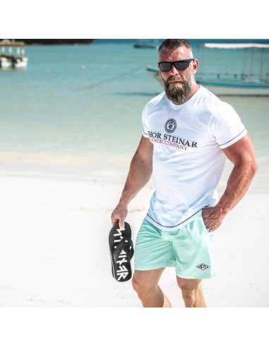 Thor Steinar Pánske Plavky HAMMER